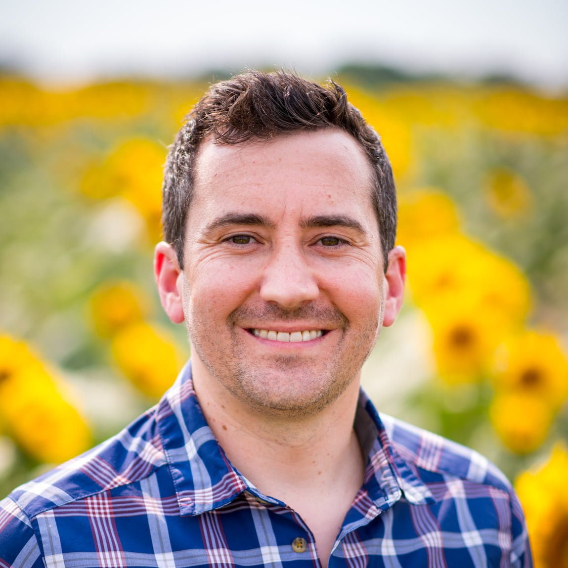 Ancient Grape Seeds Reveal Early Traces of Wine Production, Scientists