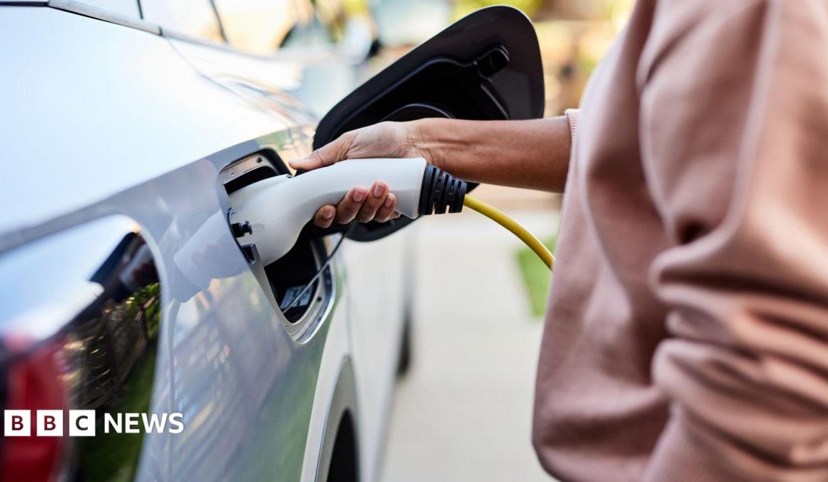 UK Electric Vehicle Sales Targets Could Be Cut After Carmaker Pressure