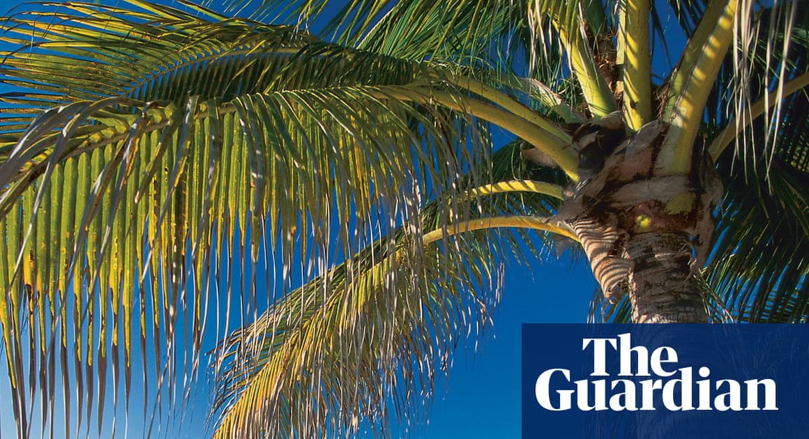 Offshore Havens Thwart UK Transparency Push, Critics Say