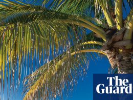 Offshore Havens Thwart UK Transparency Push, Critics Say