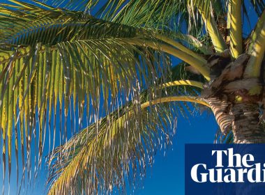 Offshore Havens Thwart UK Transparency Push, Critics Say