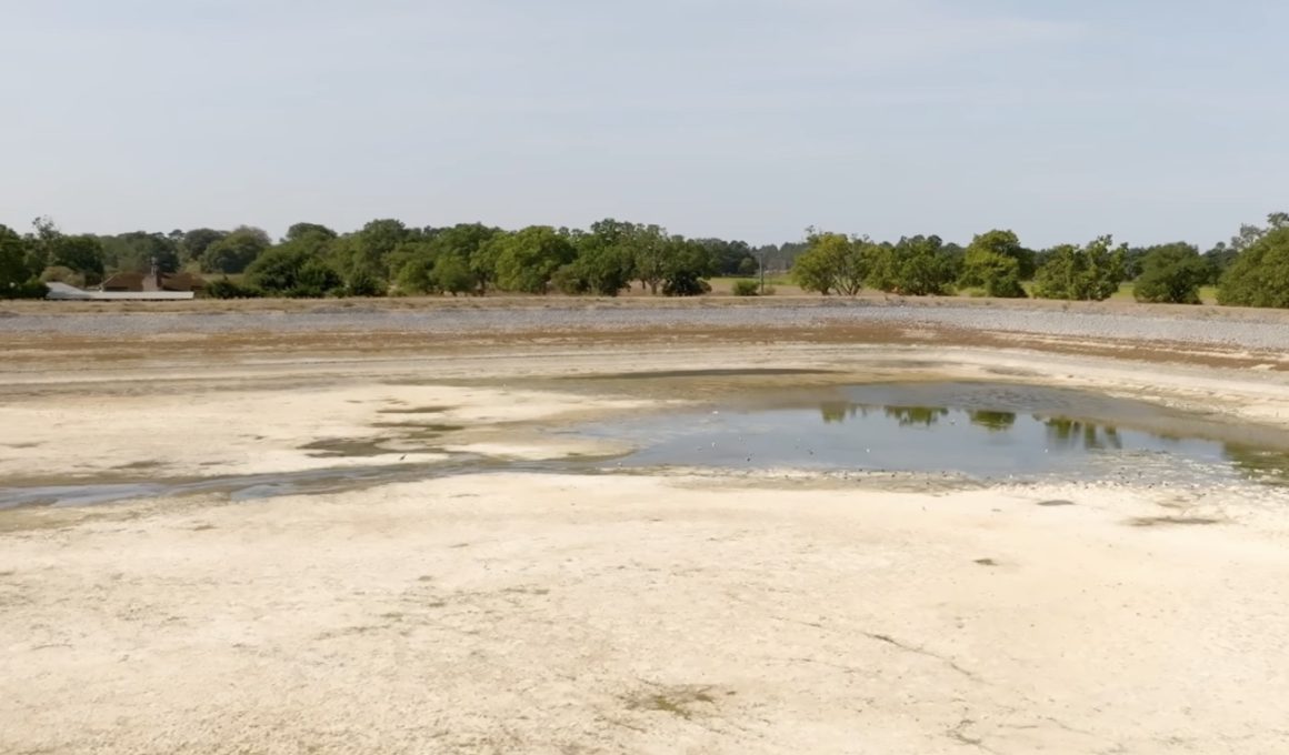 Turf Growers Highlight Drought's Severe Impact on UK Production