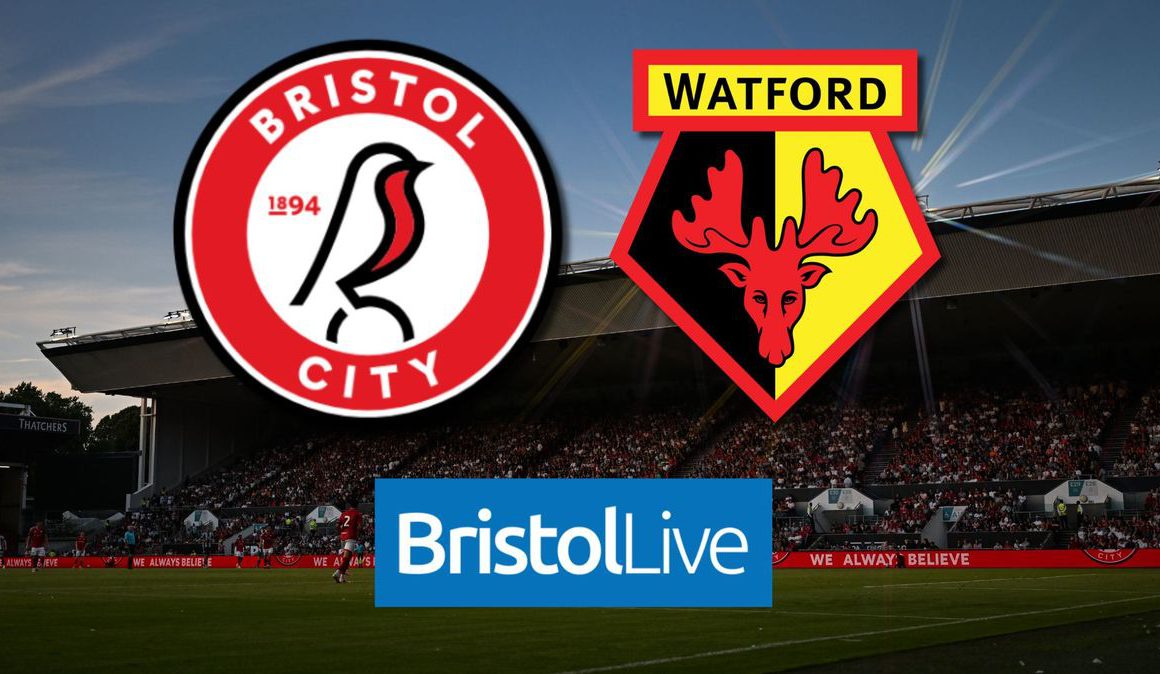 Bristol City Beat Watford 1-0 at Ashton Gate